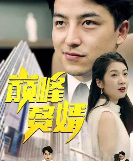 巅峰赘婿 海报
