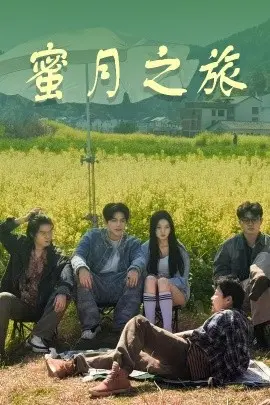 《蜜月之旅》：浪漫与冲突交织的爱情启示录