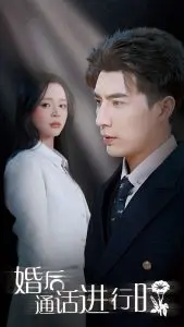 婚后通话进行时 海报