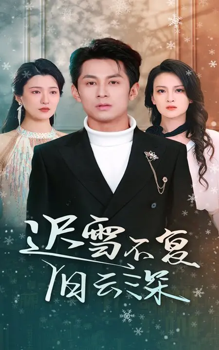 迟雪不复旧云深 海报