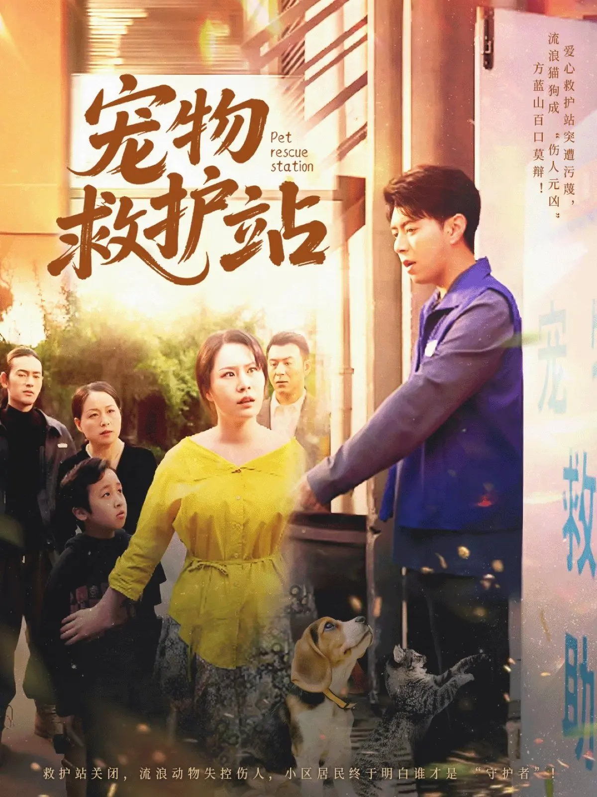 《宠物救护站》：萌宠治愈系电影，爱与责任的双重奏！但小心剧情过于理想化！